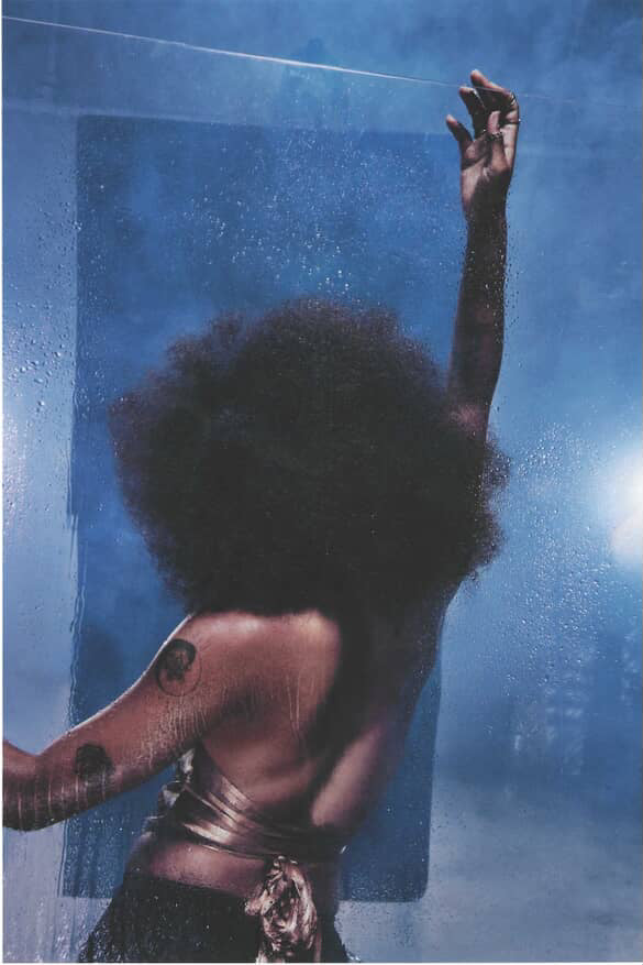 Wild Contour Breast Plate