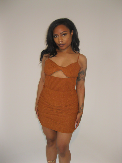 Woman wearing a brown dress against a plain background